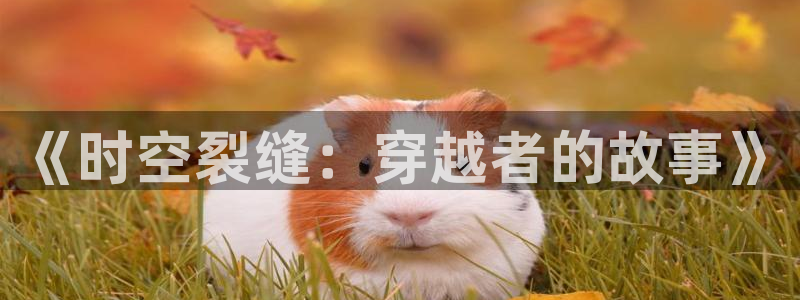 6080新视觉影院观看