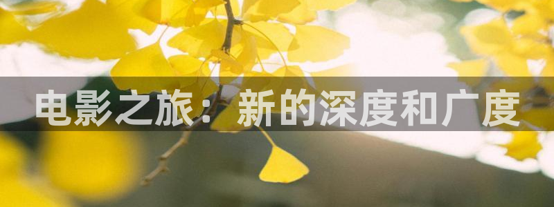 新视觉影院6080伦理片
