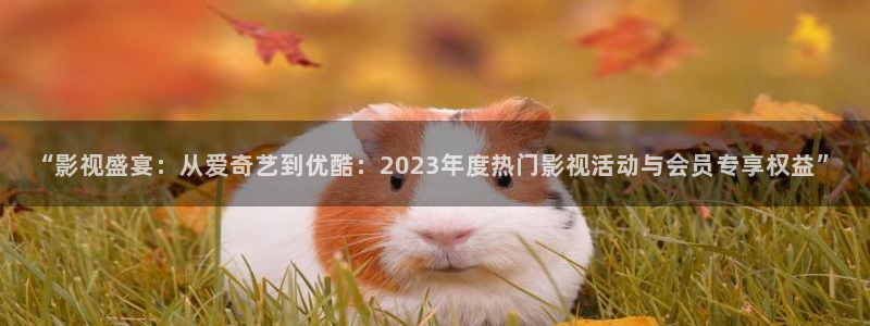新视觉6080电影网