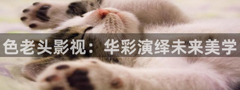 6080新视觉电影在线
