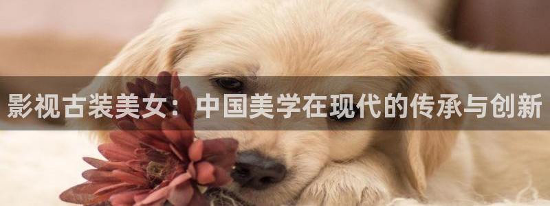 yy6080新视觉在线观看
