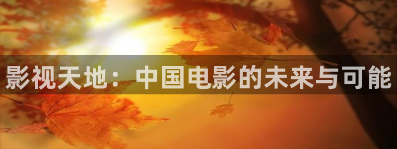 6080 新视觉