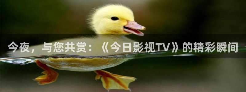 6080新视觉毛片