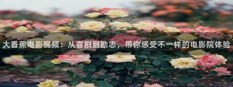 新视觉神马影院