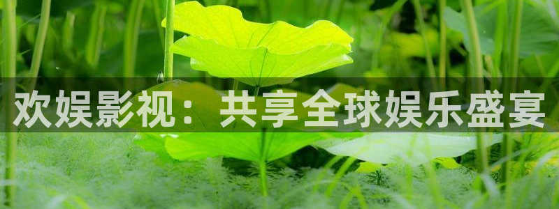新视觉6080电影院在线看电视剧yy