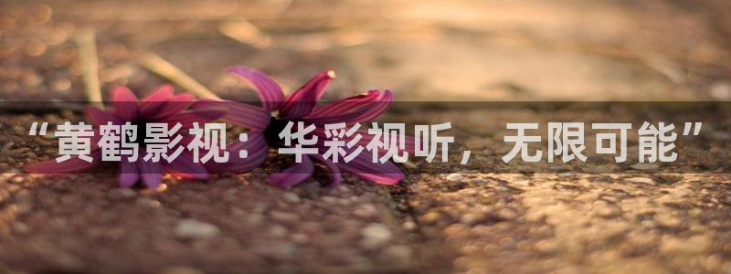 6080新视觉未来