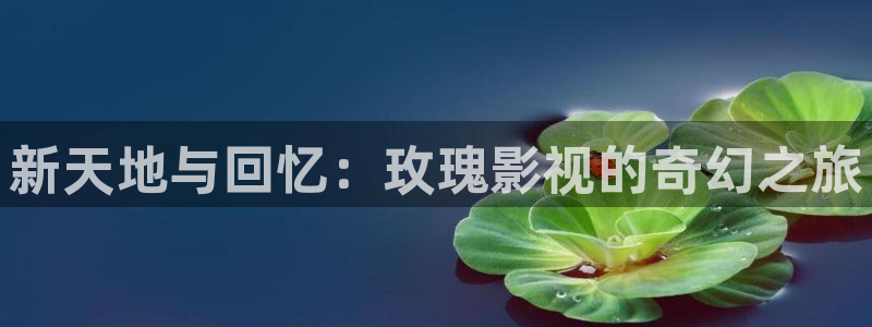 新视觉6080高清电视剧在线播放