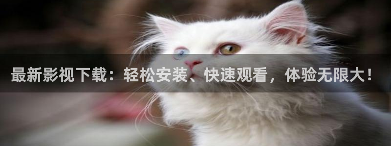 新视觉影院免费观看