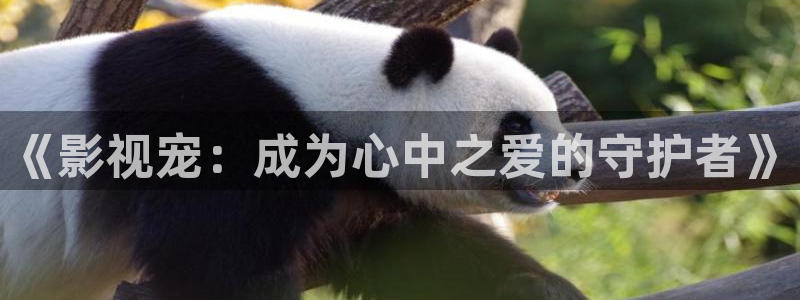 新视觉影院电视剧