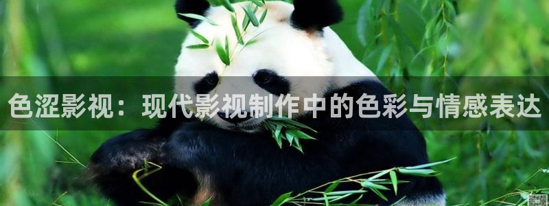 6080网新视觉