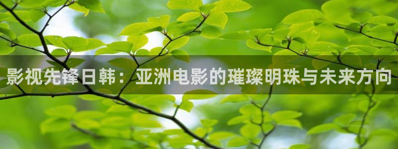 新视觉6080电视剧免费